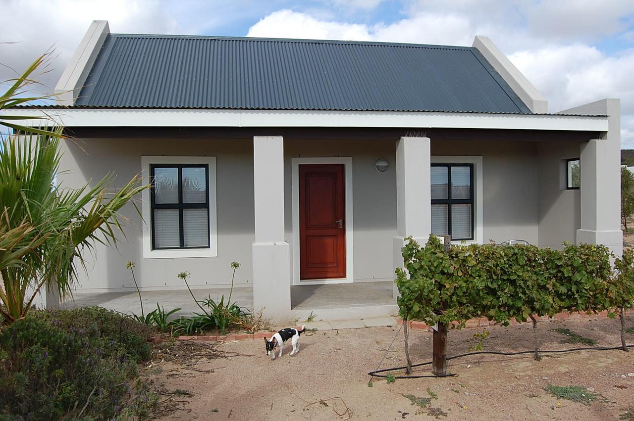 Longacre Olive & Vineyard Estate Konuk evi Langebaan Dış mekan fotoğraf