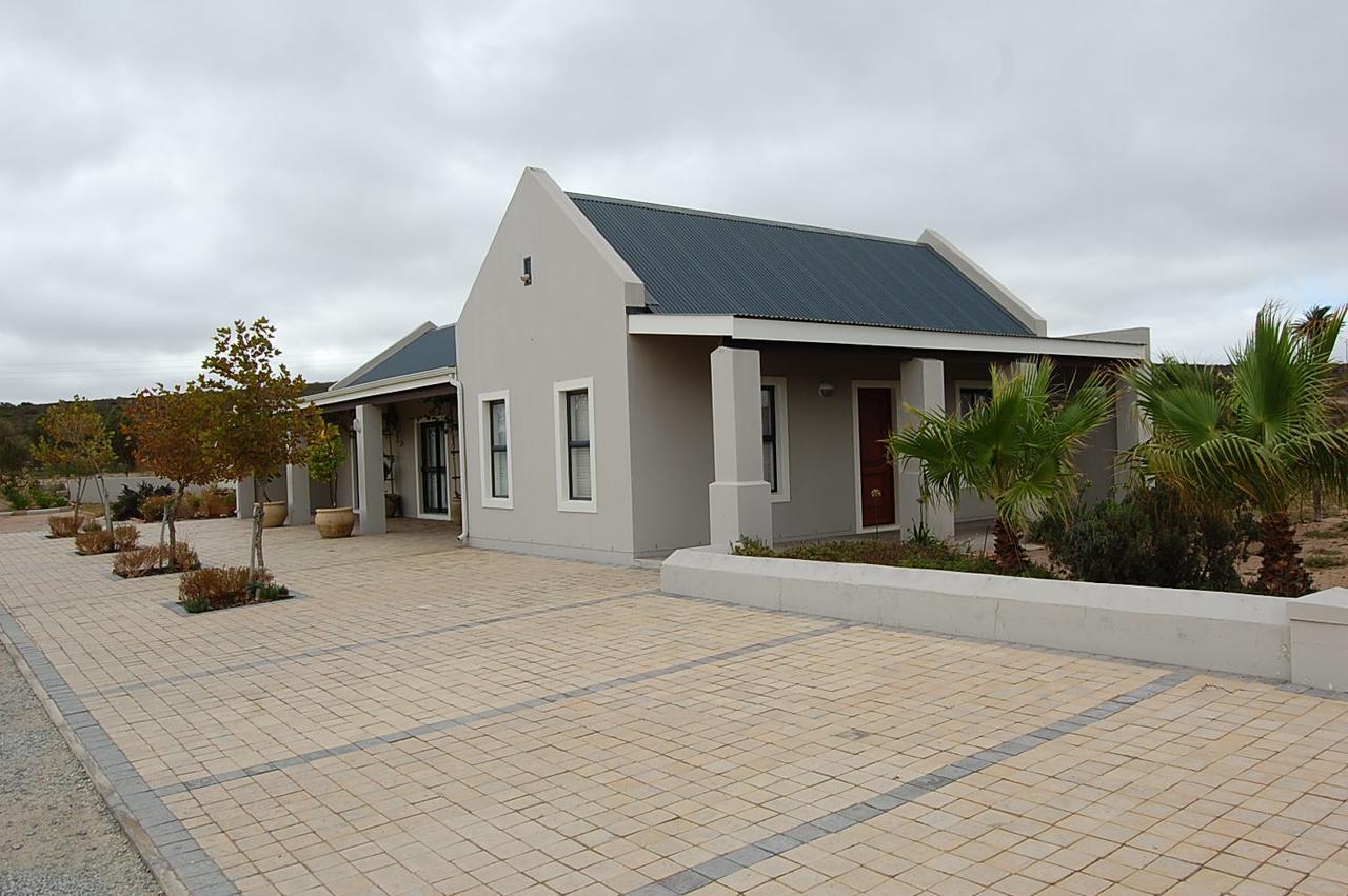 Longacre Olive & Vineyard Estate Konuk evi Langebaan Dış mekan fotoğraf