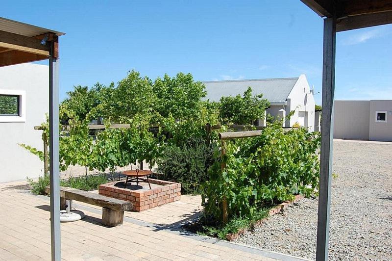 Longacre Olive & Vineyard Estate Konuk evi Langebaan Dış mekan fotoğraf