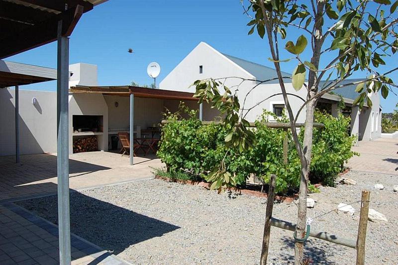 Longacre Olive & Vineyard Estate Konuk evi Langebaan Dış mekan fotoğraf