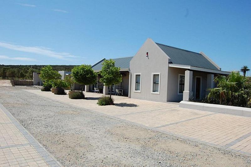 Longacre Olive & Vineyard Estate Konuk evi Langebaan Dış mekan fotoğraf