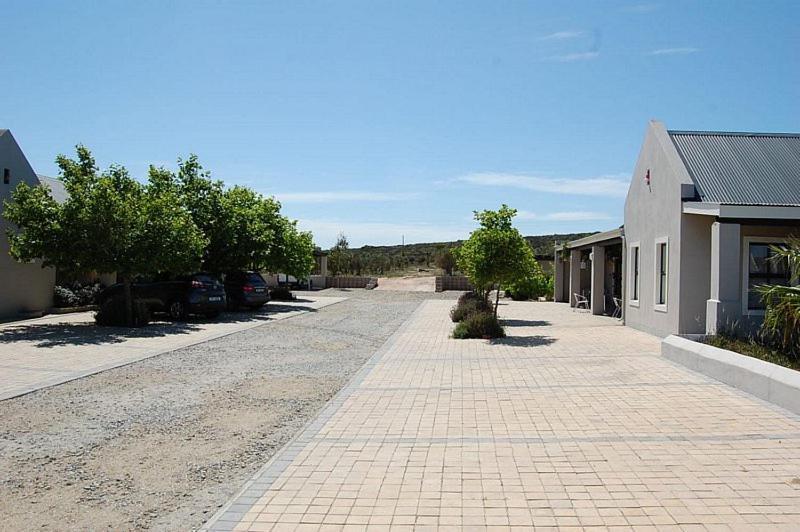 Longacre Olive & Vineyard Estate Konuk evi Langebaan Dış mekan fotoğraf